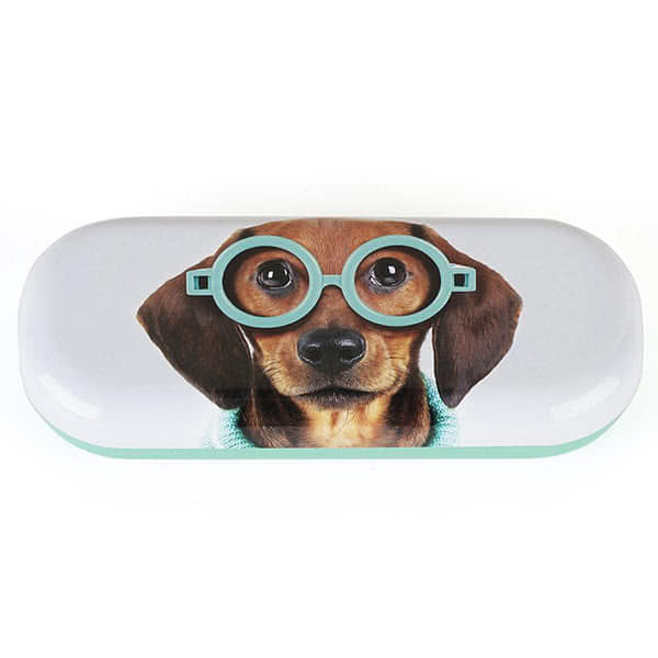 Glasses Dog Glasses Case