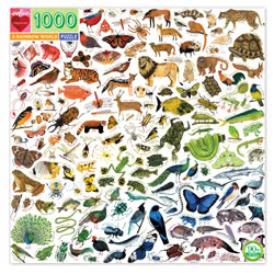 Rainbow World 1000 Piece Puzzle