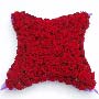 Red Rose Funeral Cushion Small Image