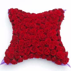 Red Rose Funeral Cushion