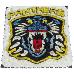 Panthers Ice Hockey Funeral Tribute