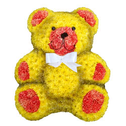 Speciality Teddy Bear