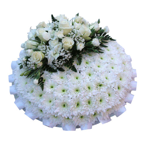 Funeral FlowersFuneral Posy Pad Pure White