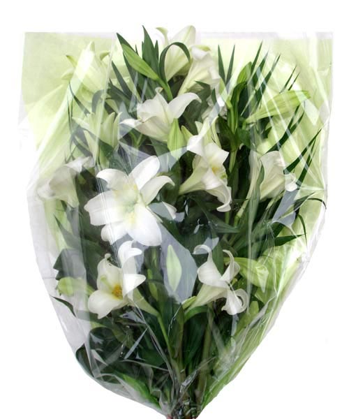 Funeral FlowersWhite Lily Funeral Bouquet