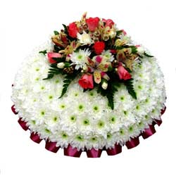 Funeral Flowers Funeral Posy Pad White & Apricot