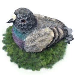 3D Pigeon Floral Tribute