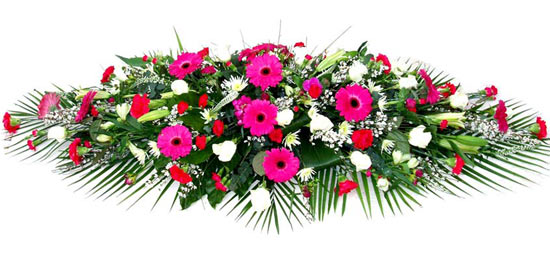Funeral Flowers Floral Coffin Spray - Cerise Gerbera
