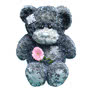 Tatty Teddy Bear Small Image