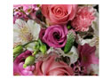 Florists Choice Spray - Pink & White