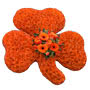 Orange Shamrock Floral Tribute