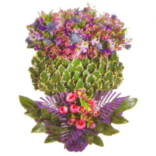 Funeral FlowersSpeciality Thistle Tribute