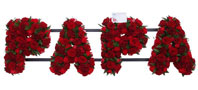 PAPA Name Frame Tribute - Red Roses Small Image