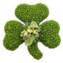 Green Shamrock Floral Tribute