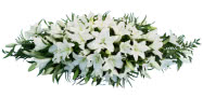 White Lily Coffin Spray