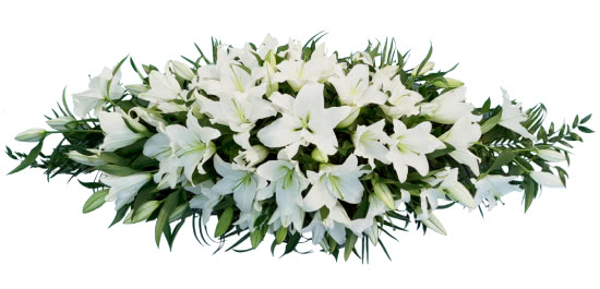 Funeral Flowers White Lily Coffin Spray