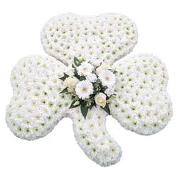 Funeral Flowers White Shamrock Floral Tribute