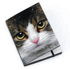 Jellycat Catseye Notebooks