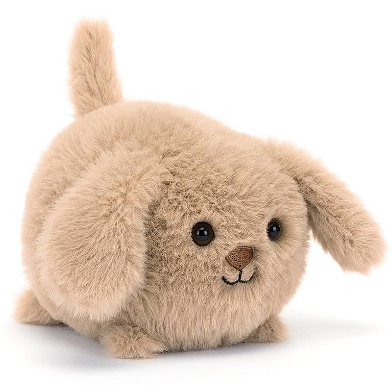 Caboodle Puppy