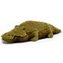 Wiley Croc Small Image