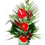 Red Anthurium Vase Arrangement Small Image