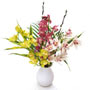 Flower Delivery Mixed Orchid Vase Arrangement 