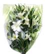 Flower Delivery Longiflorum Lily Bouquet 