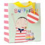 Surprise Gift Bag Small Image