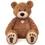 Brown Teddy Bear With Paws 75cm Small Image