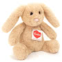 Bunny Anny 23cm Soft Toy Small Image