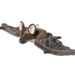 Dark Brown Bat 24cm Soft Toy