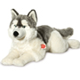 Teddy Hermann Husky Lying 60cm Plush Soft Toy 