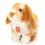 Light Brown & White Sitting Bunny 20cm Small Image