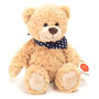 Sandy Teddy Bear with Star Scarf