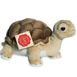 Tortoise 20cm Soft Toy