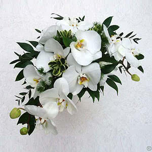 Wedding Bouquet White Orchids